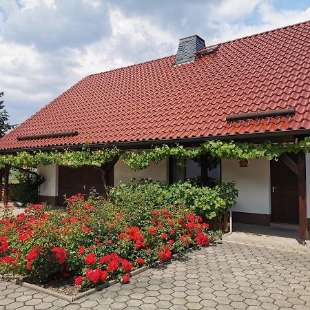 Ferienhaus Rosenhof Glaubitz Extérieur photo