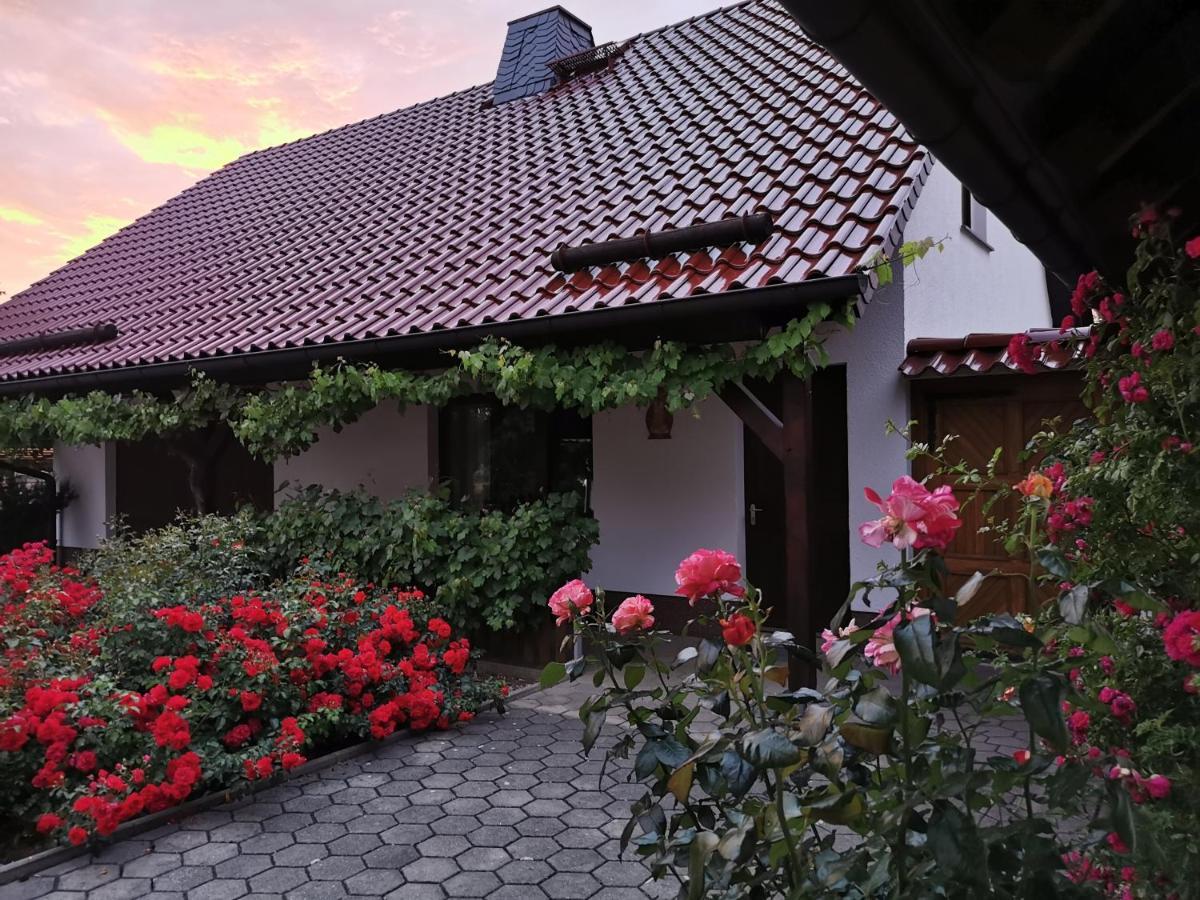 Ferienhaus Rosenhof Glaubitz Extérieur photo