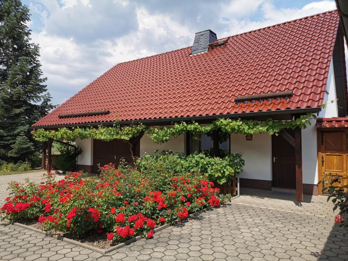Ferienhaus Rosenhof Glaubitz Extérieur photo